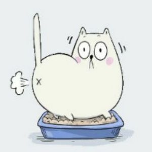 Meet your Posher, Daniela